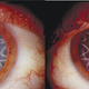 Illustration for article titled The Most Amazing Science Images Of 2014